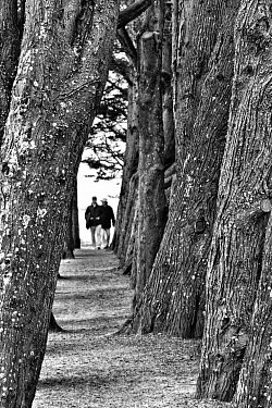 Perharidy street ©️ lophoto