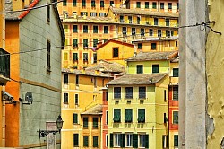 Camogli 5