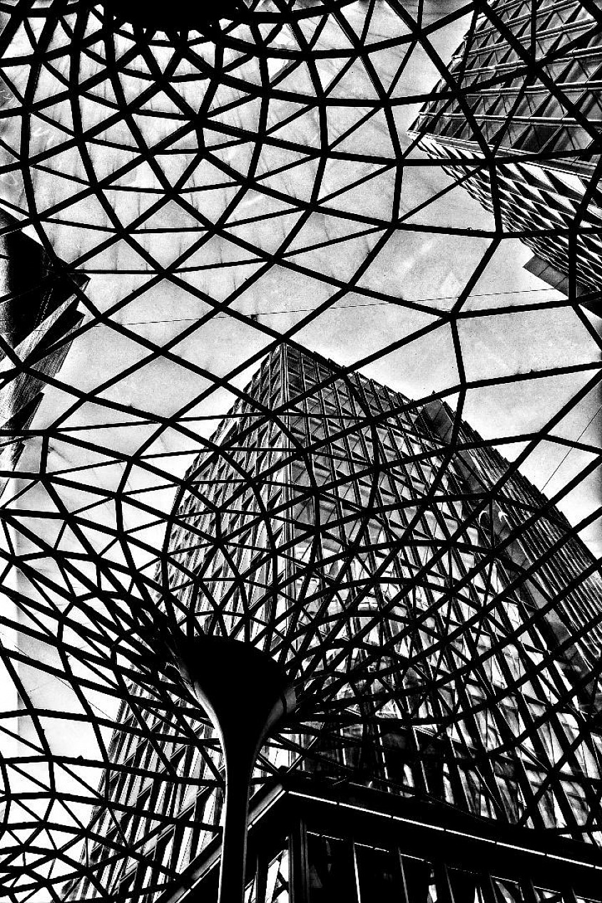 Photo of the week