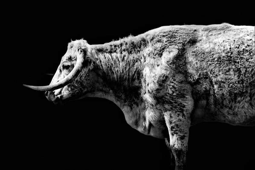 Photo of the week