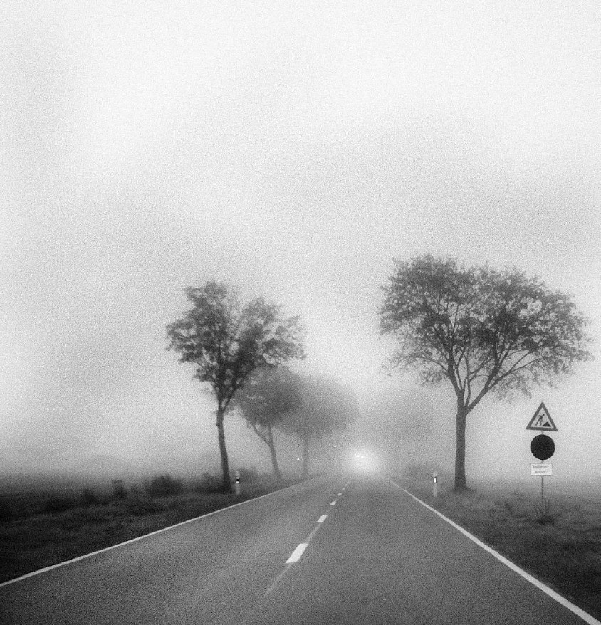 Photo of the week