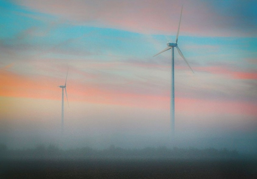 Photo of the week