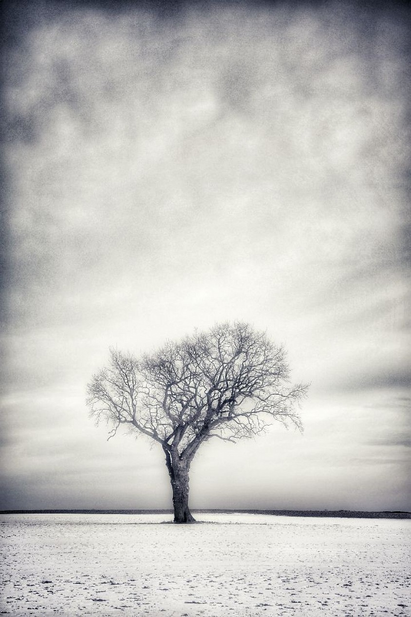 Photo of the week